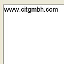 Input field for additional block of text: www.citgmbh.com